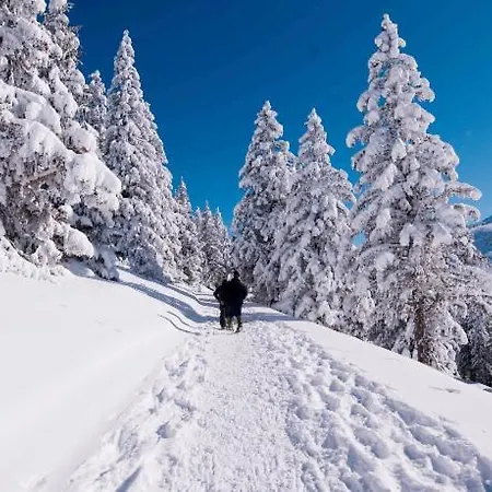 Votre Balneo Bien-etre A La Montagne Апартаменты