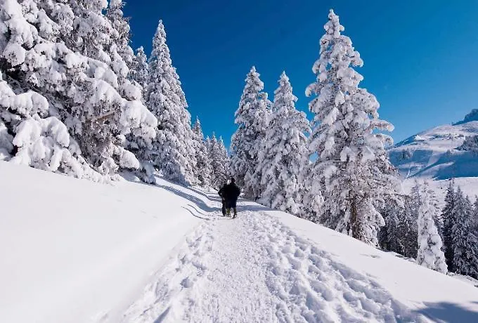 Votre Balnéo Bien-être à La Montagne Appartamento
